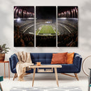 Eagles Field Stadium Wall Art - Philadelphia Eagles Football