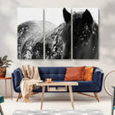 Black Horse in Snow Canvas Print | Winter Horse Wall Art |