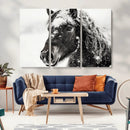 Framed Black and White Horse Wall Art | Ready to Hang and by MyGreatCanvas | Canvas Wall Art Prints | Photo Prints & Wall Decor