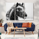 Winter Horse Canvas Print | Large 3-Panel Black White Equine