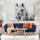 White Horse Wall Art | Ready to Hang and Framed | Winter
