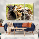Curious Cows Farmhouse Wall Art | Ready to Hang and Framed