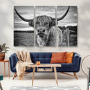 Scottish Highland Cow Wall Art Canvas Print | Ready to Hang