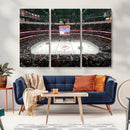 Honda Center California Anaheim Ducks Ice Hockey Stadium