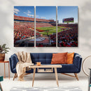 Florida Tampa Raymond James Stadium Wall Art Canvas Print - by MyGreatCanvas | Canvas Wall Art Prints | Photo Prints & Wall Decor
