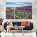 Florida Tampa Raymond James Stadium Wall Art Canvas Print -