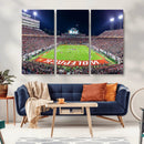 NC State Wolfpack Canvas Print - Raleigh Carter-Finley