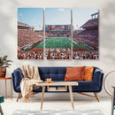Framed Texas Memorial Stadium Canvas, University of Texas