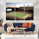 Darrell K Royal-Texas Memorial Stadium Canvas Wall Art -