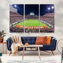 Wolfpack Football Team Print - Raleigh Carter-Finley Stadium