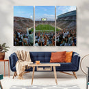 Michigan State Spartans Football Team Art Print - East