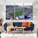 The Texas Christian University TCU Horned Frogs Football