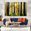 Sunlit Forest Wall Art Canvas Print – Large Framed Woodland