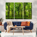 Lush Green Forest Canvas Print | 3-Panel Forest Wall Art |