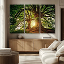 Majestic Ancient Tree Wall Art, NatureCanvas Print, Woodland by MyGreatCanvas | Canvas Wall Art Prints | Photo Prints & Wall Decor
