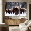 Bison Wall Art Canvas Print- Bison Herd Canvas Wall Art – by MyGreatCanvas | Canvas Wall Art Prints | Photo Prints & Wall Decor