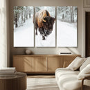 Bison Wall Art Canvas Print For Farmhouse, Animal Canvas