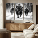 Buffalo Wall Art Canvas Print, Bison Family Wall Art Canvas by MyGreatCanvas | Canvas Wall Art Prints | Photo Prints & Wall Decor