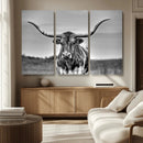 Texas Longhorn Cow Wall Art, Texas Longhorn Canvas, Cattle
