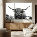 Longhorn Canvas Print, Bighorn Cow Wall Art Canvas Print