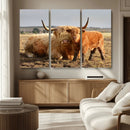 Highland Cow Canvas Wall Art Animal Print for Farm House