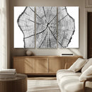 Rustic Tree Ring Wall Art Canvas Print – Framed and Ready to