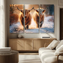 Scottish Highland Cow Horn Farm Wall Art Canvas Print