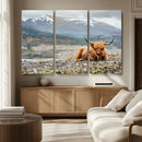 Highland Cow Horn Farm Wall Art Canvas Print