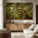 Ancient Angel Oak Tree Art Sunburst Canvas Print-