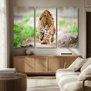 Leopard on the Prowl - Stunning Large Framed Leopard Wall