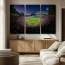 Houston Astros Baseball Print Canvas - Houston Minute Maid