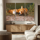 Sleeping Fox Wall Art Canvas Print, Farmhouse Wall Decor and