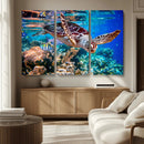Underwater Coral Reef Sea Turtle Wall Art Canvas Print,