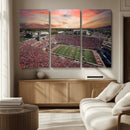 Indiana Memorial Stadium Wall Art Canvas Print, Framed