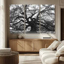 Ancient Oak Wall Art Canvas Print – Gnarled Tree Twisted by MyGreatCanvas | Canvas Wall Art Prints | Photo Prints & Wall Decor
