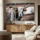 Texas Longhorn Wall Art Canvas Print – Framed Spotted Bull