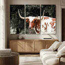 Texas Longhorn Wall Art Canvas Print – Framed Spotted Bull