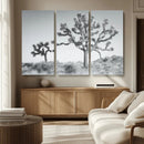 Joshua Tree Wall Art Canvas Print – Framed Black White