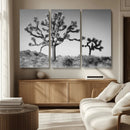 Joshua Tree Wall Art Canvas Print – Framed Monochrome Desert