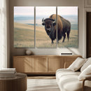 Bison Wall Art Canvas Print – Framed Buffalo American Bison