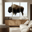 Bison Wall Art Canvas Print – Framed Western Wildlife