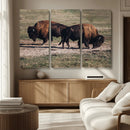 Bison Wall Art Canvas Print – Framed Western Wildlife Modern by MyGreatCanvas | Canvas Wall Art Prints | Photo Prints & Wall Decor