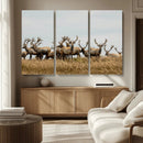 Elk Herd Wall Art Canvas Print – Framed Wildlife Photography