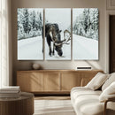 Moose Snow Wall Art Canvas Print – Framed Winter Wildlife