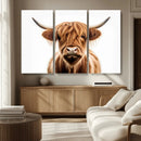 Scottish Highland Cow Canvas Print, Framed Highland Cow