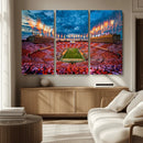 Tennessee Neyland Stadium Wall Art, Sports Arena Canvas by MyGreatCanvas | Canvas Wall Art Prints | Photo Prints & Wall Decor