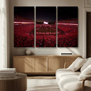 Dooley Stadium Wall Art, Sports Arena Canvas Print, Dooley by MyGreatCanvas | Canvas Wall Art Prints | Photo Prints & Wall Decor