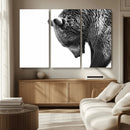 Black and White Grizzly 399 Bear Canvas Print Wall Art | by MyGreatCanvas | Canvas Wall Art Prints | Photo Prints & Wall Decor