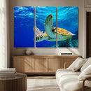 Sea Turtle Wall Art Canvas Print, Sea life in the Ocean Wall