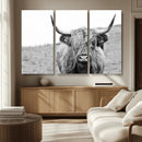 Newfoundland Cow Art Wall Art, Black White Cow Art Wall Art